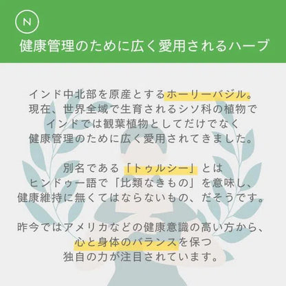 ホーリーバジルカプセル Naturecan ホーリーバジルとは