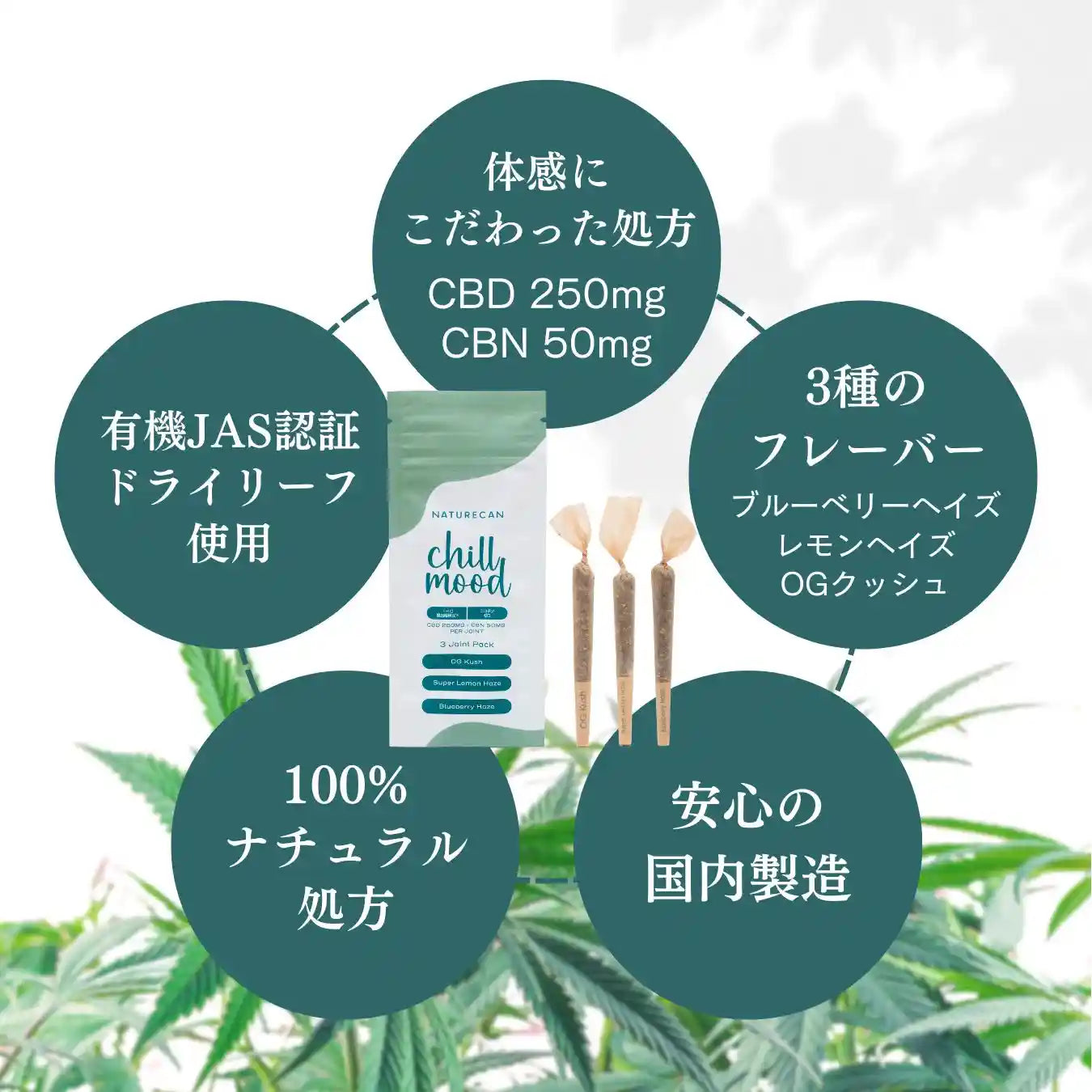 CBD・CBNジョイント