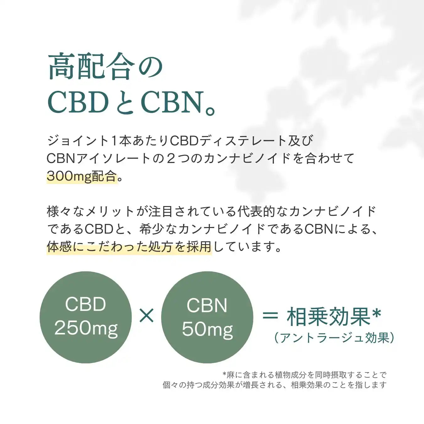 CBD・CBNジョイント