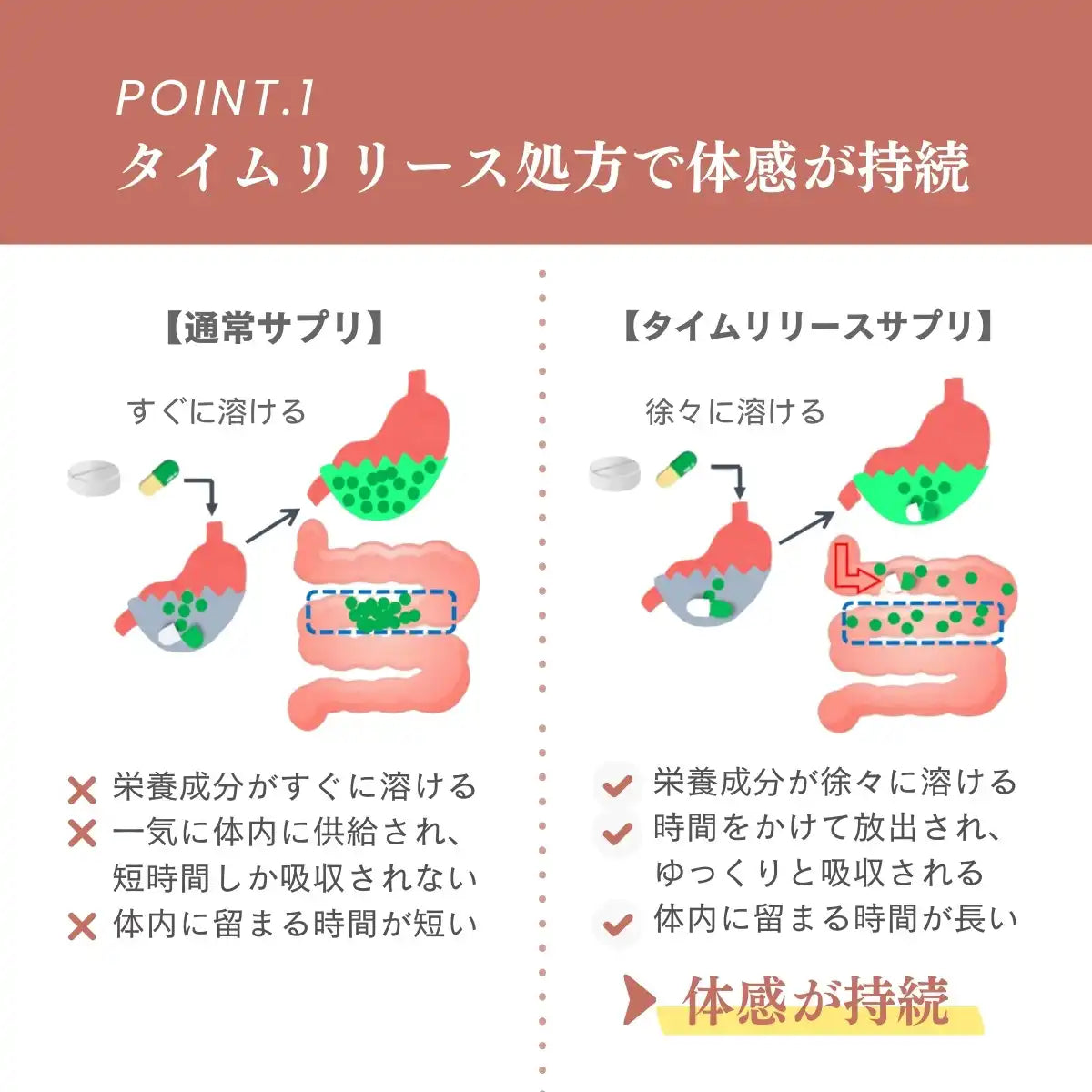 アセロラ由来 ビタミンCカプセル