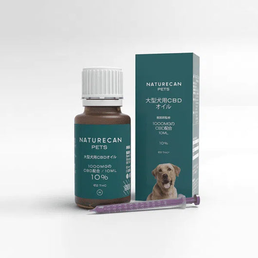 大型犬用 10%CBDオイル 10ml