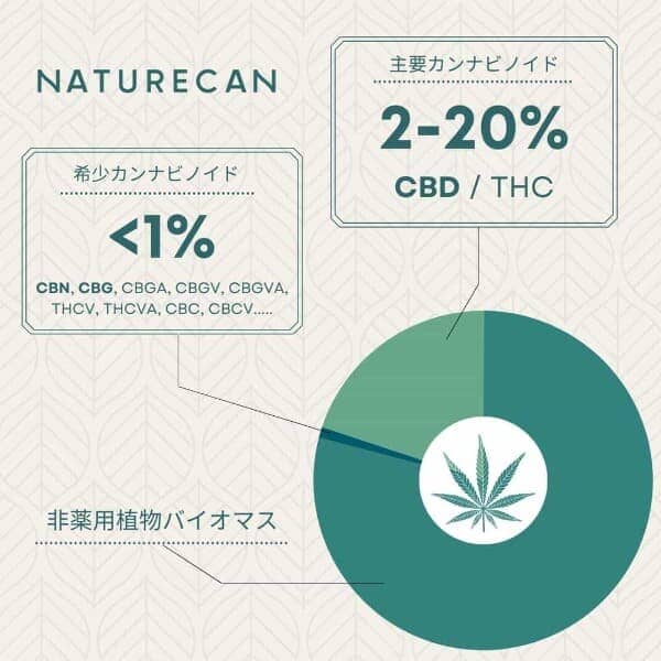 40%CBGオイル 10ml | Naturecan ネイチャーカン